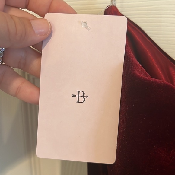 Size 26 velvet dress dark berry by Jenny Yoo - Picture 6 of 9